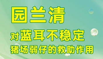 園蘭清對藍(lán)耳不穩(wěn)定豬場弱仔的救助作用！