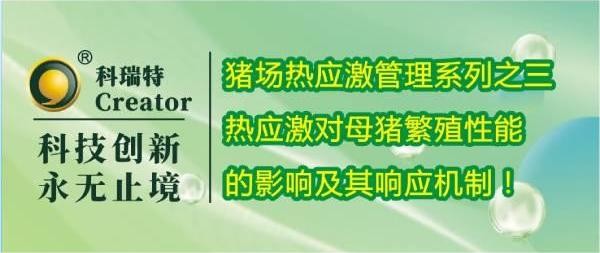 養(yǎng)殖技術(shù) | 熱應(yīng)激對母豬繁殖性能的影響及其響應(yīng)機制