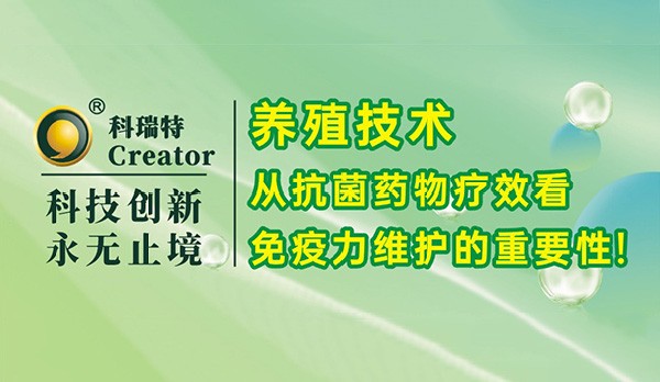養(yǎng)殖技術(shù)｜從抗菌藥物療效看免疫力維護(hù)的重要性！